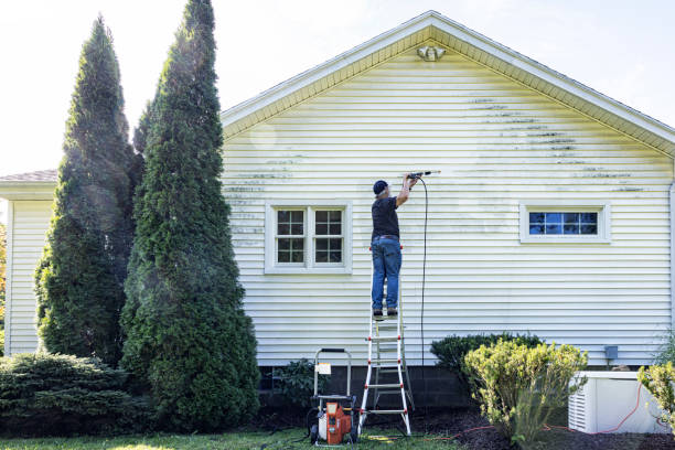 Animal Enclosure Cleaning in Noble, OK